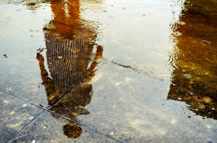 Reflection in the Rain