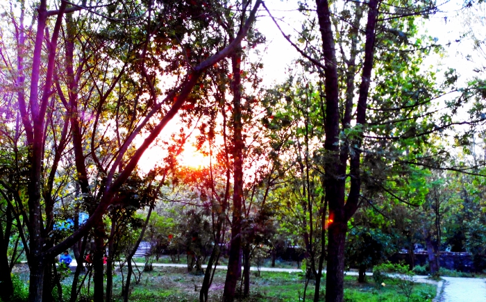 Sunset seen from UN Park