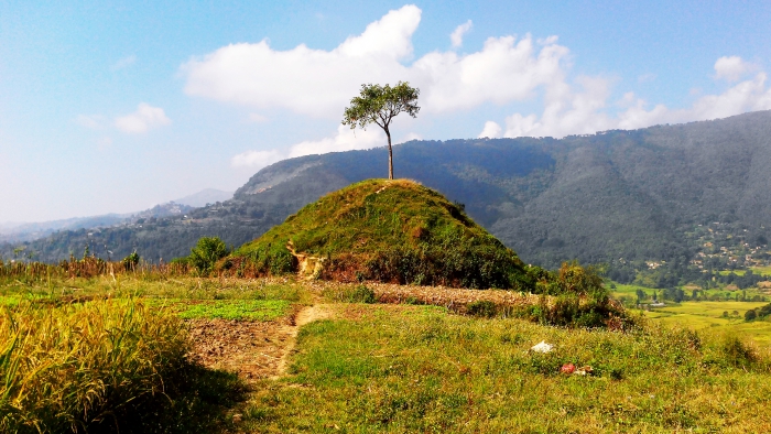 Tree in the Middle of Hill in Bhaisepati